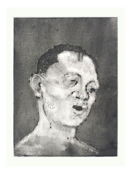 Head of Boxer with swollen lip